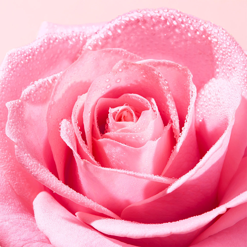 NUXE Very Rose dúsító ajakbalzsam (8ml)