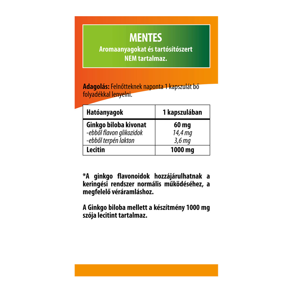 BIOCO Ginkgo biloba + 1000mg Lecitin kapszula (90db)