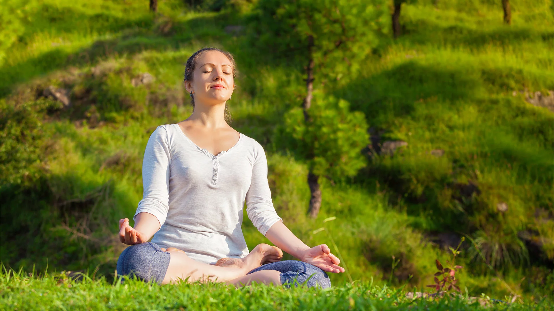 Stressz detox