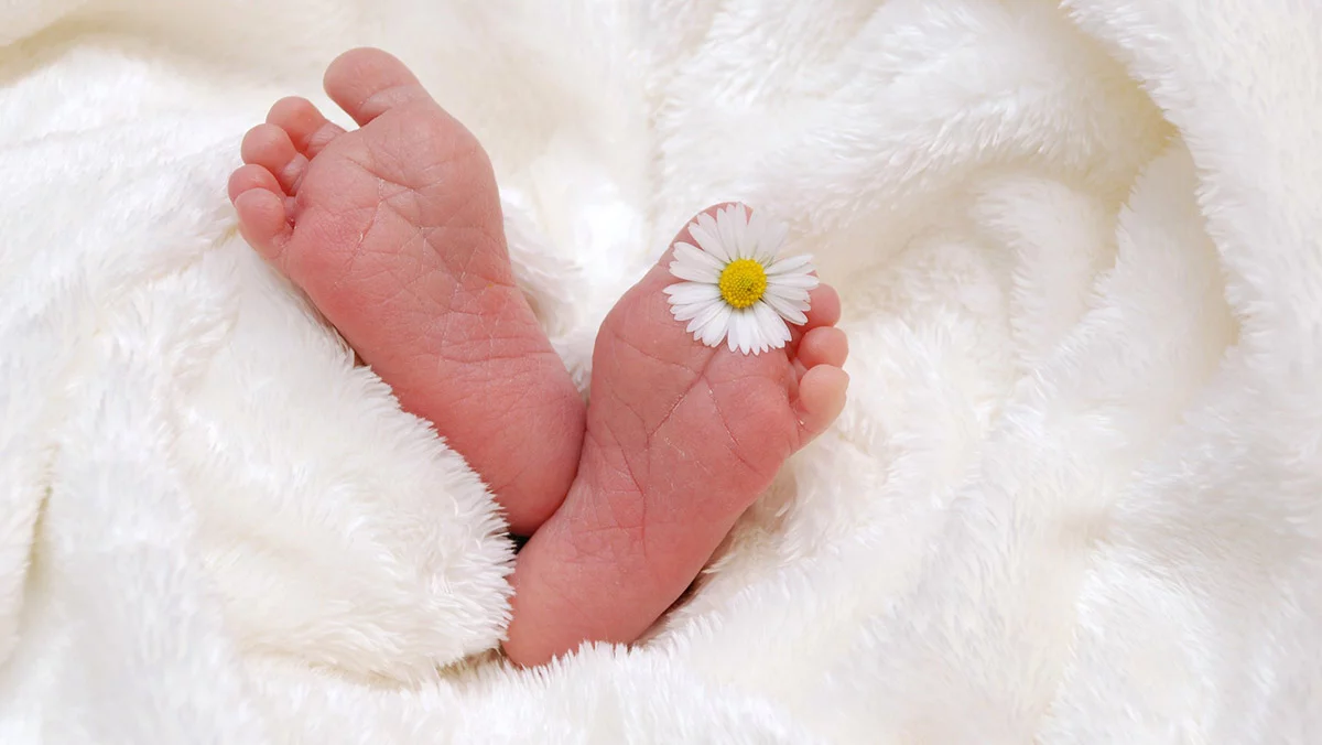 5+1 csodás természetes összetevő a baba bőrápolásban