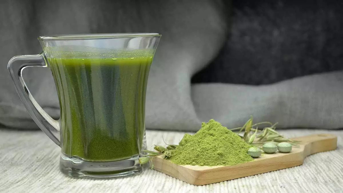 chlorella-alga