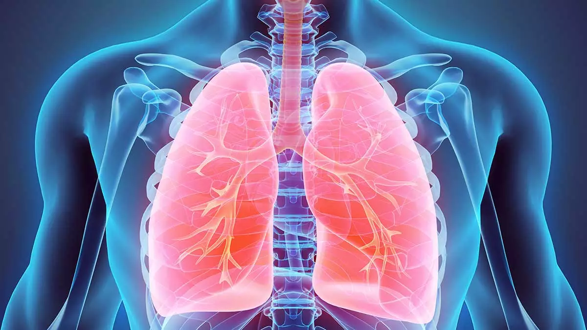 Miért fontos a rendszeres tüdőszűrés?