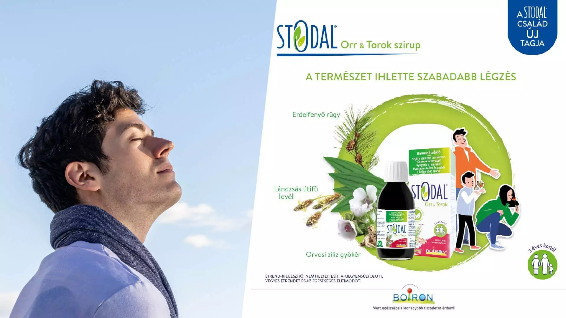 Légúti panaszokra orvosi ziliz, lándzsás útifű és erdeifenyő rügy